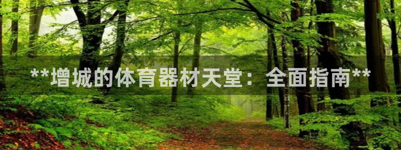 辉达平台代理怎么做：**增城的体育器材天堂：全面指南