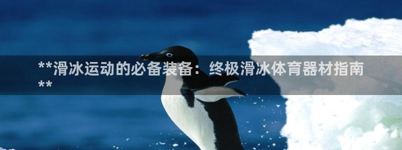 辉达平台寇 5O6917 辉达：**滑冰运动的必备装