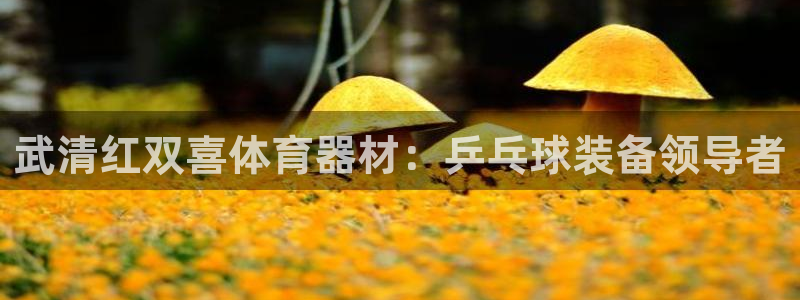 辉达成语：武清红双喜体育器材：乒乓球装备领导者