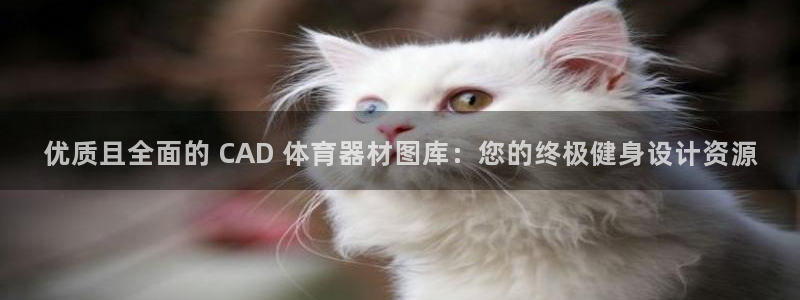 辉达平台卜6.7.5.1.3.8：优质且全面的 CA
