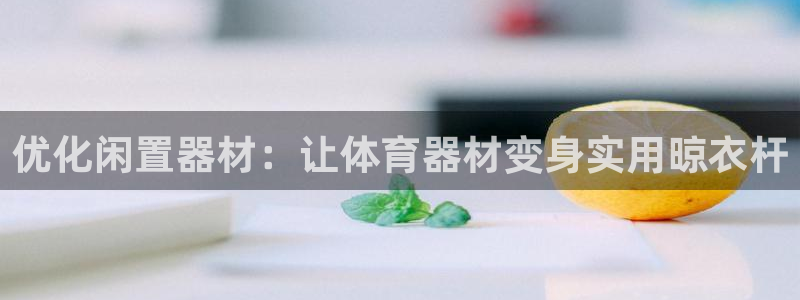 辉达娱乐登录地址在哪里：优化闲置器材：让体育器材变身