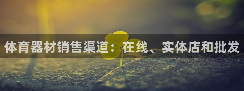 辉达平台注册步骤微博：体育器材销售渠道：在线、实体店