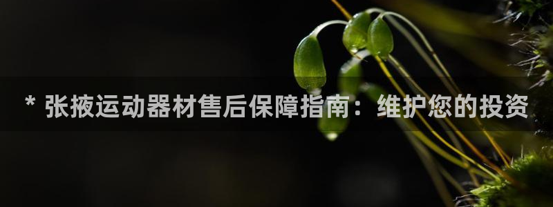 辉达挑战第三关怎么打：* 张掖运动器材售后保障指南：