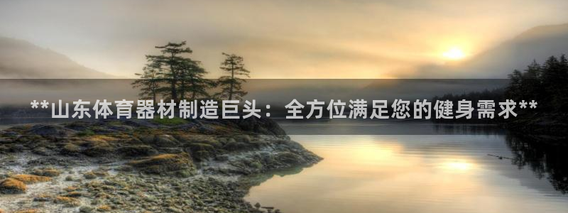 辉达娱乐提款怎么取消：**山东体育器材制造巨头：全方