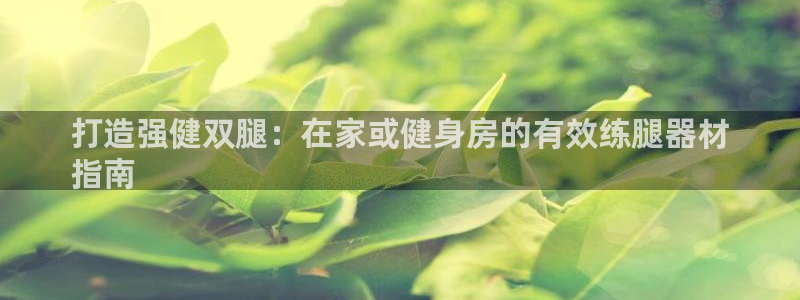辉达集团董事长：打造强健双腿：在家或健身房的有效练腿