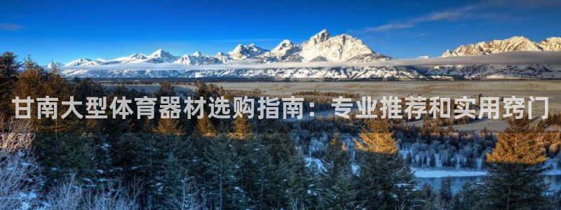 辉达娱乐返点多少钱：甘南大型体育器材选购指南：专业推