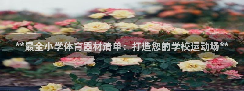 辉达集团公益：**最全小学体育器材清单：打造您的学校