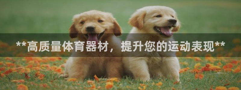 辉达集团董事长抖音是谁：**高质量体育器材，提升您的