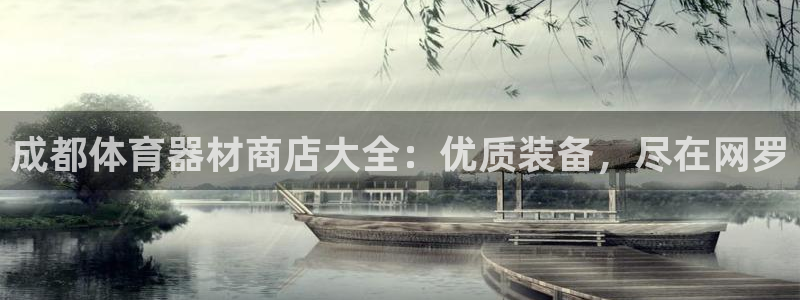 辉达集团是干嘛的企业：成都体育器材商店大全：优质装备
