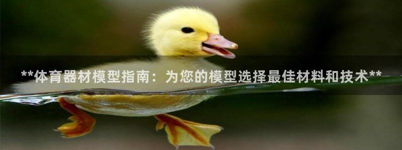 辉达平台告7O777：**体育器材模型指南：为您的模