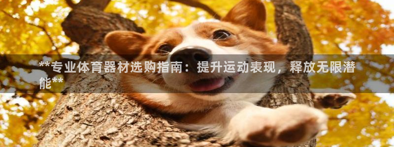 辉达娱乐登录注册：**专业体育器材选购指南：提升运动