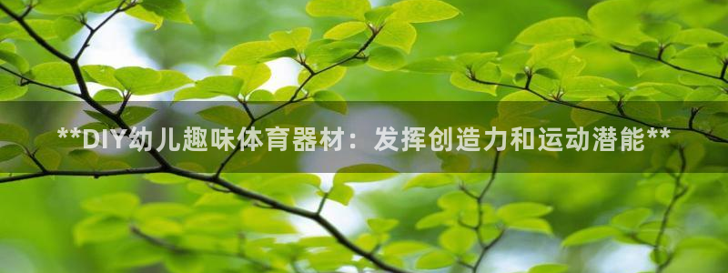 辉达娱乐：**DIY幼儿趣味体育器材：发挥创造力和运