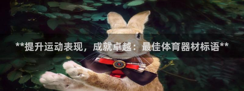 辉达微光下载：**提升运动表现，成就卓越：最佳体育器