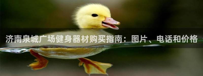 辉达娱乐官网首页登录不了：济南泉城广场健身器材购买指