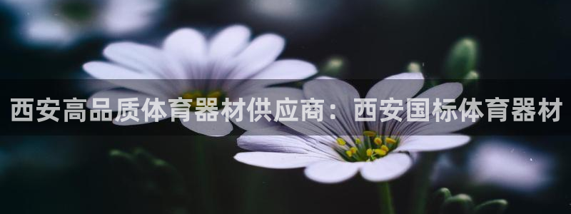 辉达娱乐软件下载：西安高品质体育器材供应商：西安国标