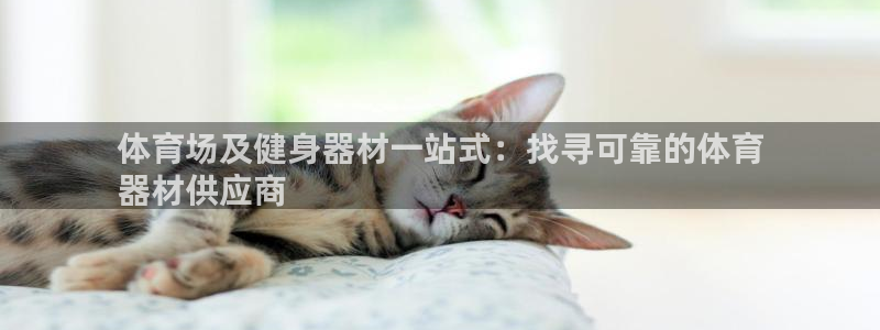 辉达娱乐登录地址在哪看：体育场及健身器材一站式：找寻