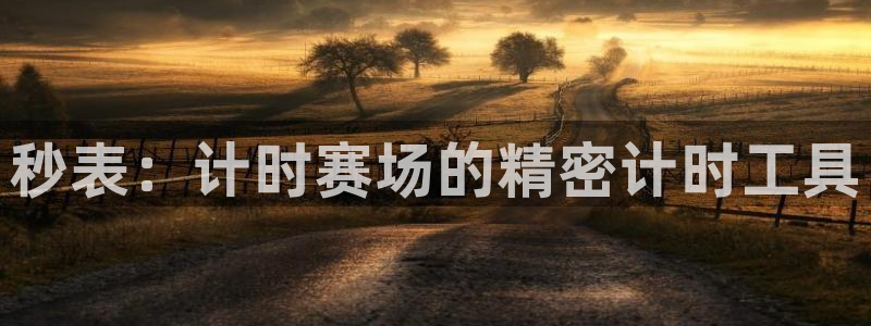 辉达娱乐是什么平台：秒表：计时赛场的精密计时工具