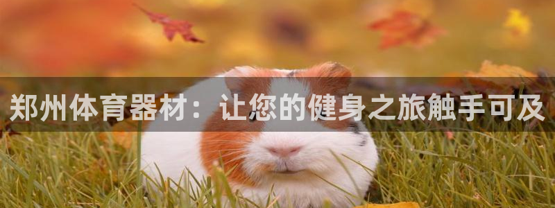 辉达娱乐官网首页登录：郑州体育器材：让您的健身之旅触