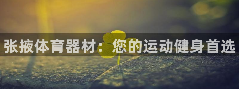 辉达娱乐提款：张掖体育器材：您的运动健身首选