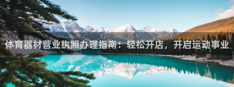 辉达三国官网：体育器材营业执照办理指南：轻松开店，开