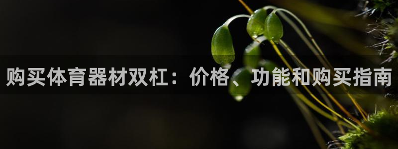 辉达平台招商：购买体育器材双杠：价格、功能和购买指南