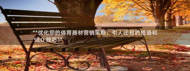辉达登场一样的词：**优化您的体育器材营销策略：引人