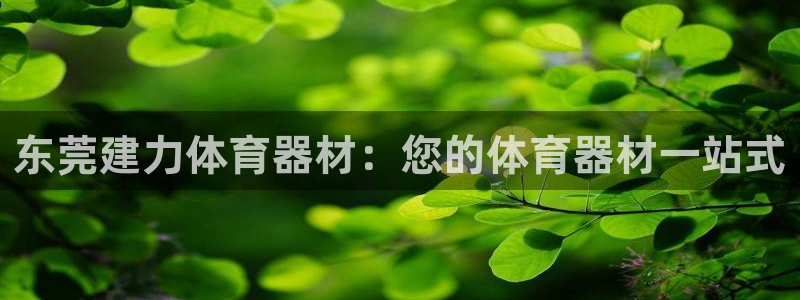 辉达娱乐可以玩吗：东莞建力体育器材：您的体育器材一站