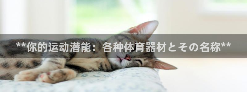 辉达辉煌：**你的运动潜能：各种体育器材とその名称*