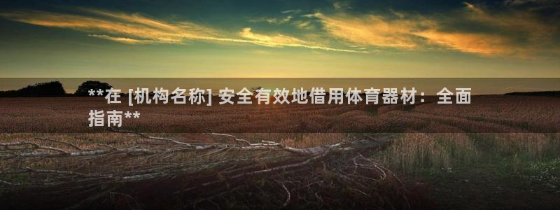 辉达平台推 411o31 辉达：**在 [机构名称]