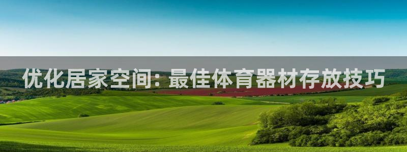 辉达首开什么意思：优化居家空间: 最佳体育器材存放技