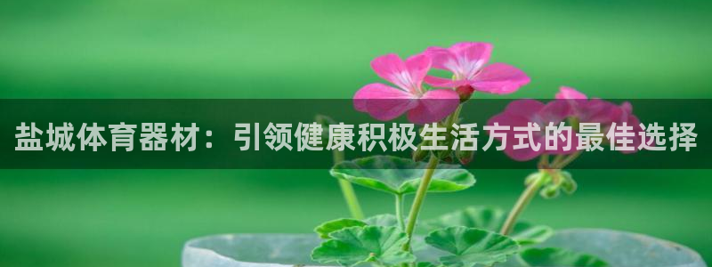 辉达娱乐安全吗