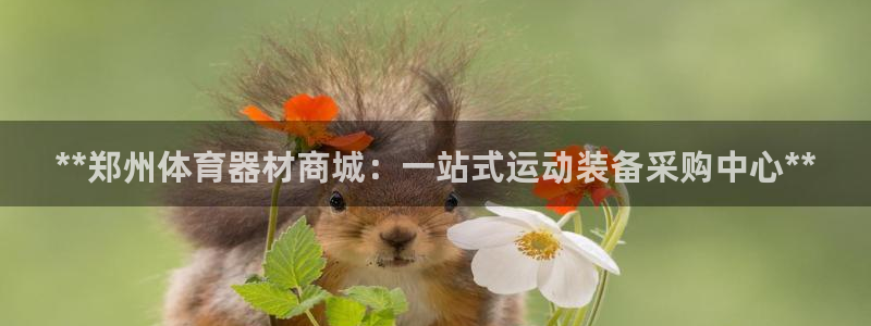 辉达来袭什么意思：**郑州体育器材商城：一站式运动装