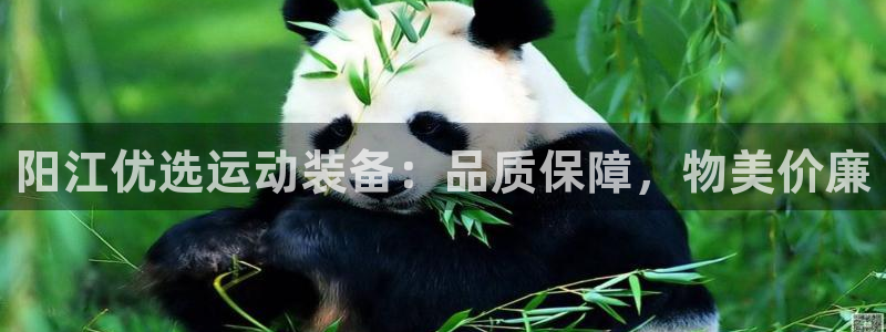 辉达登场的图片：阳江优选运动装备：品质保障，物美价廉