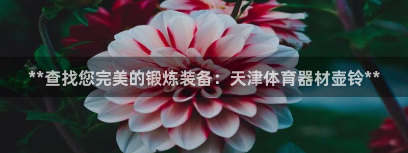 辉达平台负责人怎么样：**查找您完美的锻炼装备：天津