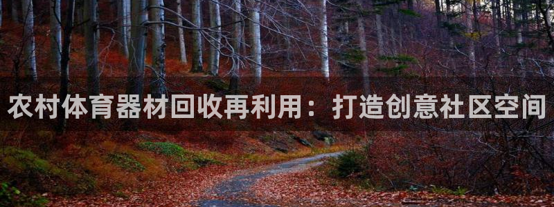 辉达集团罗文斌：农村体育器材回收再利用：打造创意社区