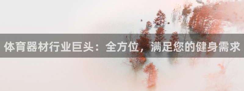 辉达娱乐登陆地址：体育器材行业巨头：全方位，满足您的