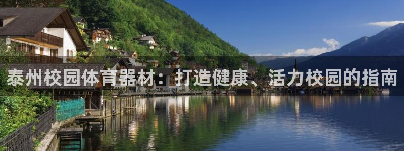 辉达平台注册网址：泰州校园体育器材：打造健康、活力校