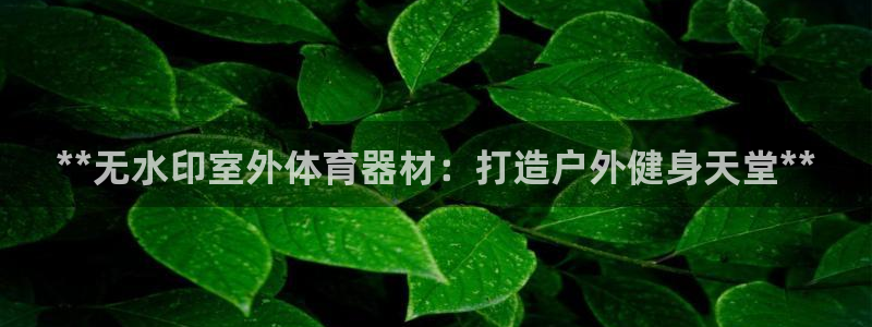 辉达平台app下载：**无水印室外体育器材：打造户外