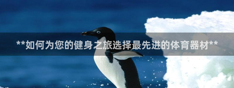 辉达幻主：**如何为您的健身之旅选择最先进的体育器材