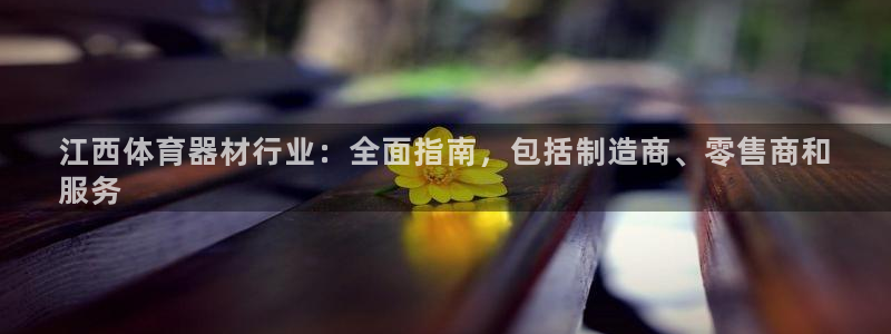 辉达平台网址：江西体育器材行业：全面指南，包括制造商