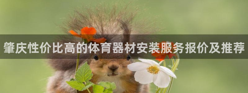 辉达娱乐如何登录平台账号：肇庆性价比高的体育器材安装