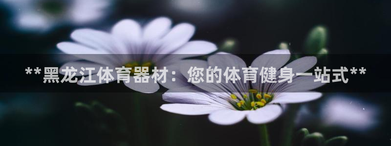 辉达微光mp3下载：**黑龙江体育器材：您的体育健身