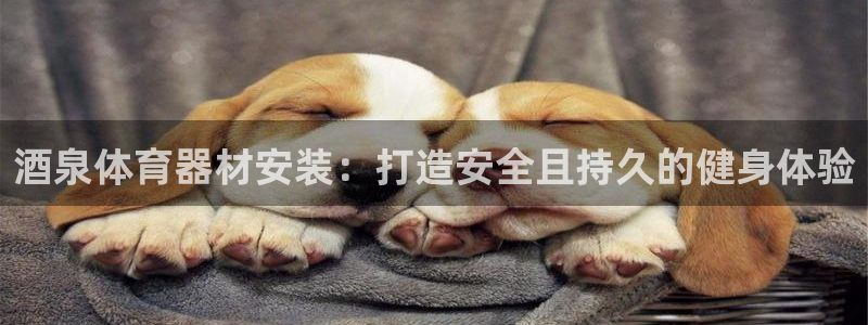 辉达娱乐能提现吗现在怎么样：酒泉体育器材安装：打造安