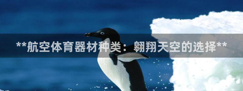 辉达平台告7O777：**航空体育器材种类：翱翔天空