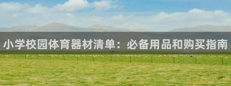 辉达辉煌：小学校园体育器材清单：必备用品和购买指南