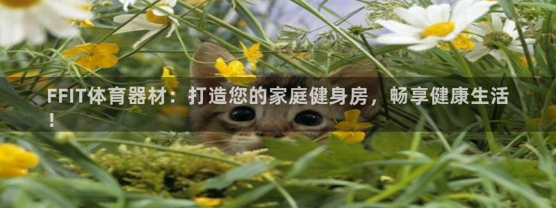 辉达三国官网：FFIT体育器材：打造您的家庭健身房，