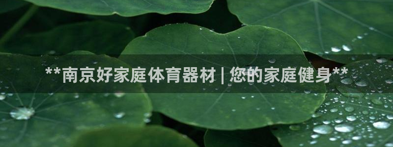辉达娱乐建3.3.4.8.2 主管：**南京好家庭体