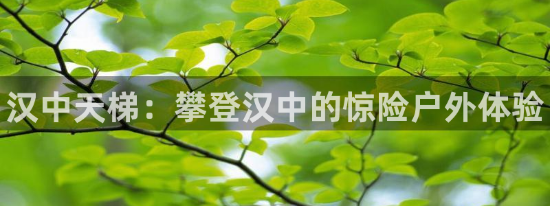 辉达集团是什么电影院：汉中天梯：攀登汉中的惊险户外体