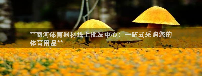 辉达登场的意思：**商河体育器材线上批发中心：一站式