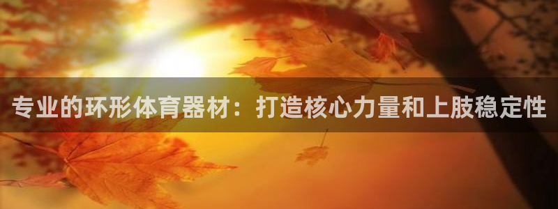 辉达平台地址：专业的环形体育器材：打造核心力量和上肢
